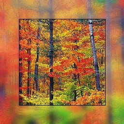 Frame FAA 10